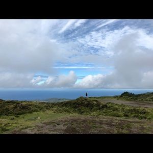 Meet your Posher, Carolina